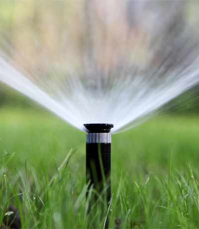 sprinkler of automatic watering